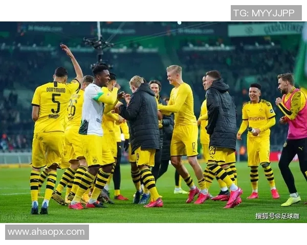 塞尔维亚对阵威尔士精彩直播全程回顾与赛后分析