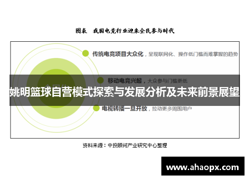 姚明篮球自营模式探索与发展分析及未来前景展望